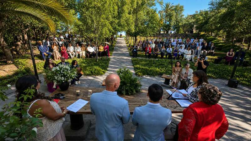 Primer plano del intercambio de anillos durante ceremonia de matrimonio.